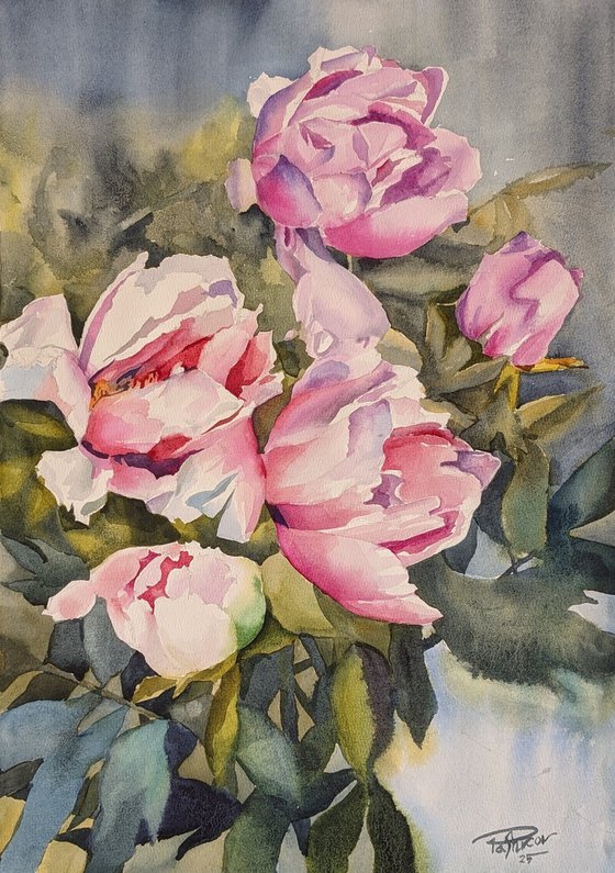 PINK PEONIES#5