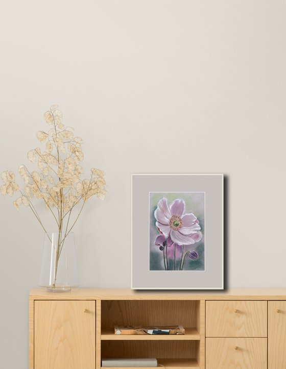 Lilac anemone