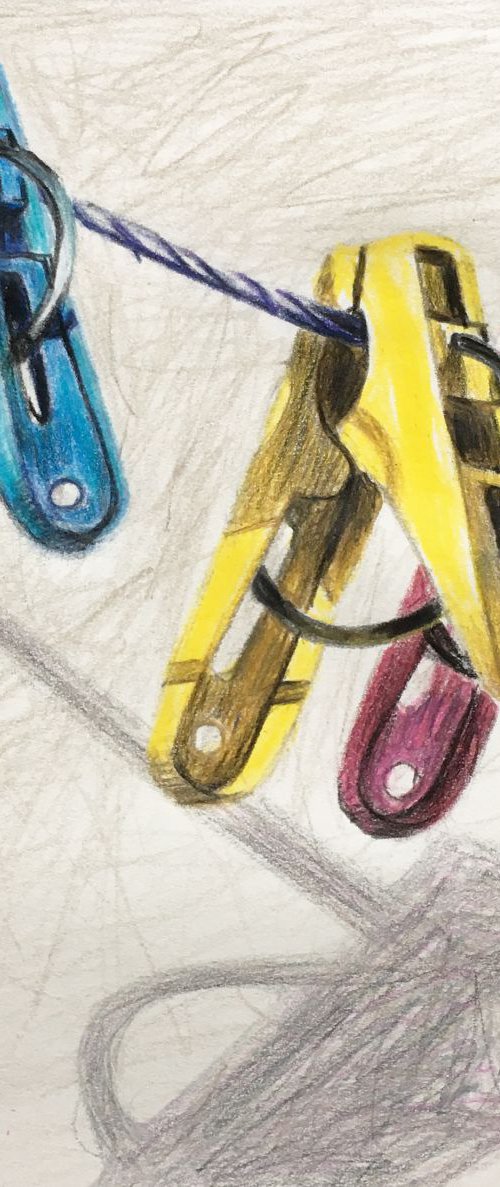 Daily Life No.45, colorful clothes pegs by sedigheh zoghi