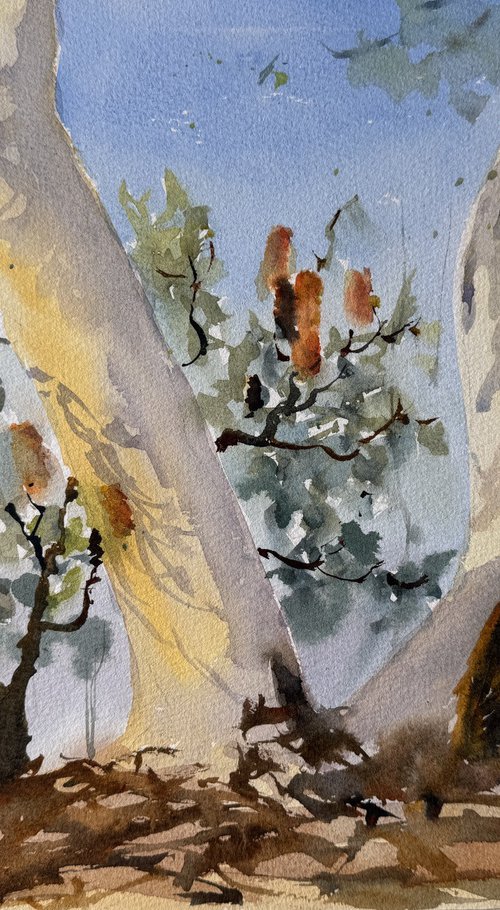 Gum tree and banksia by Shelly Du