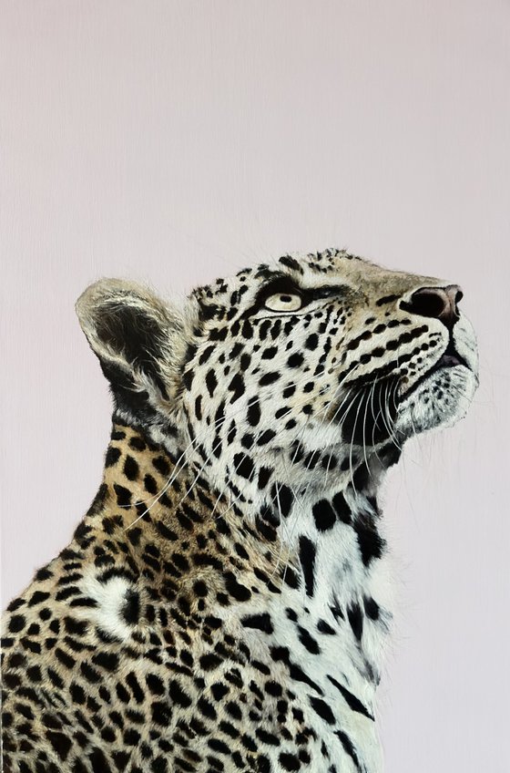 Focus – Original Leopard Painting