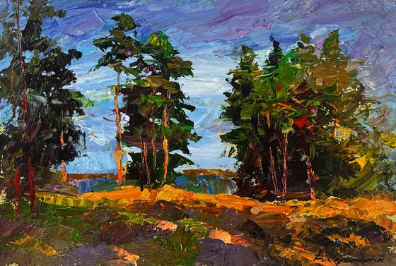 Silence of Trees and Light of Open Spaces