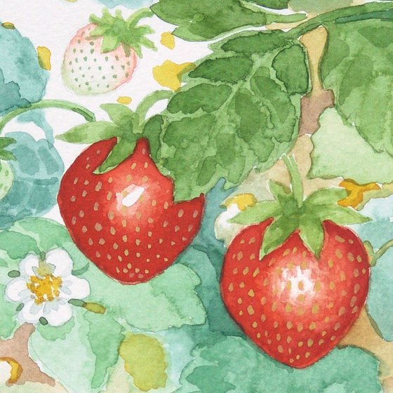 Strawberries * free shipping *
