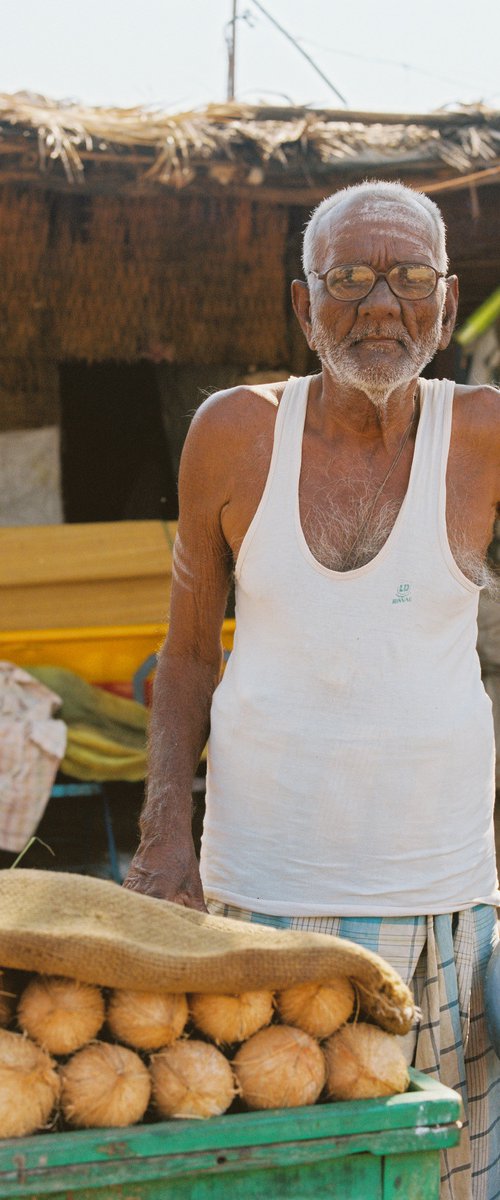 Coconut Seller by Dasha Buben