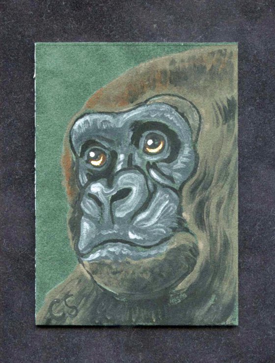 ACEO ATC Original Suede Painting Ape Gorilla Wildlife Art-Carla Smale