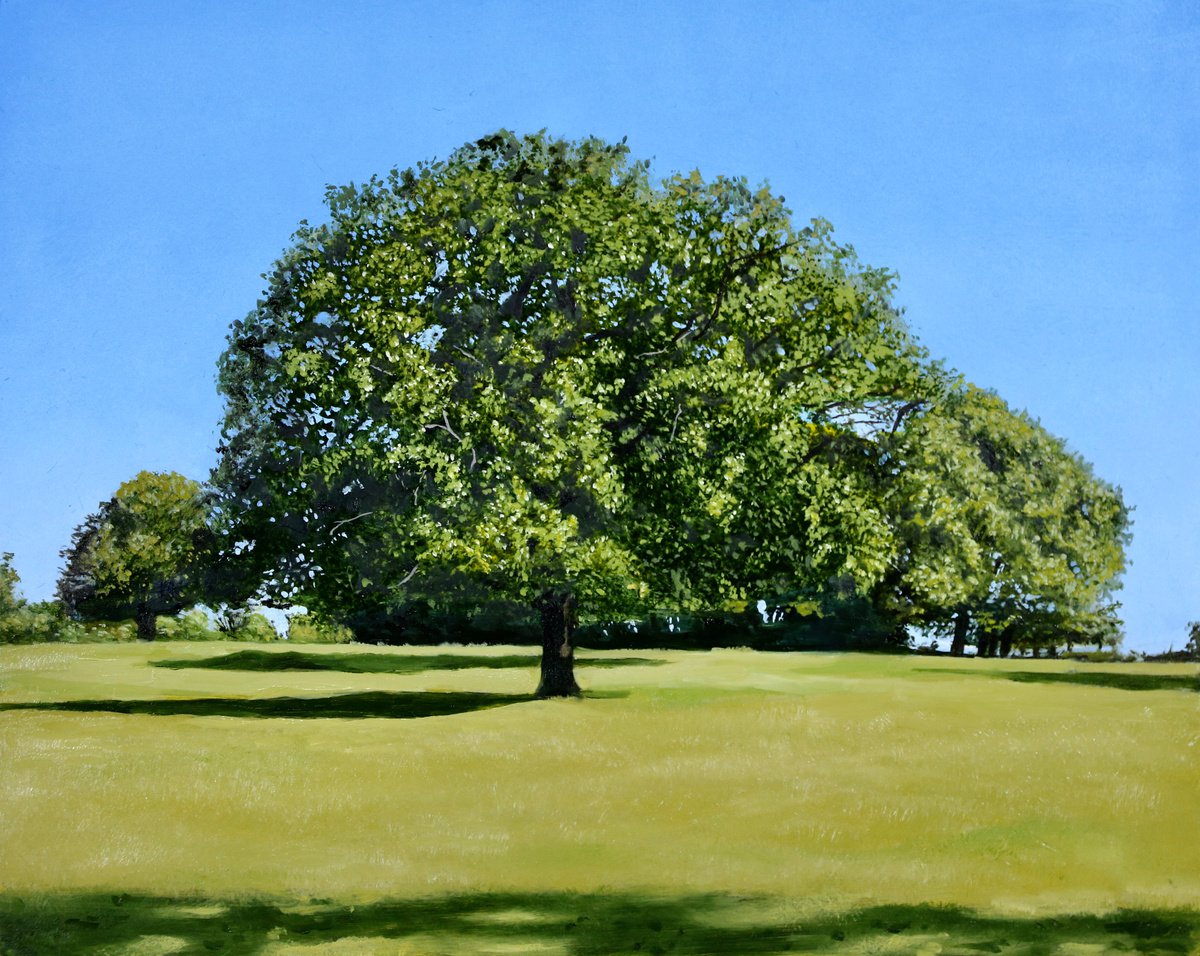 Photorealistic Landscape Oil Painting By Christopher Witchall, 10 X 8, Summer Trees, Original Artwork