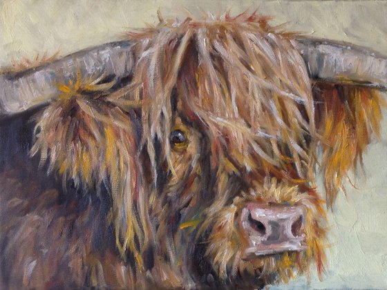 Hairy Cow
