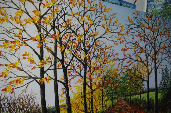 Autumnal Walk