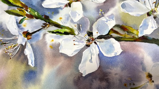 The Poetry of Flowers