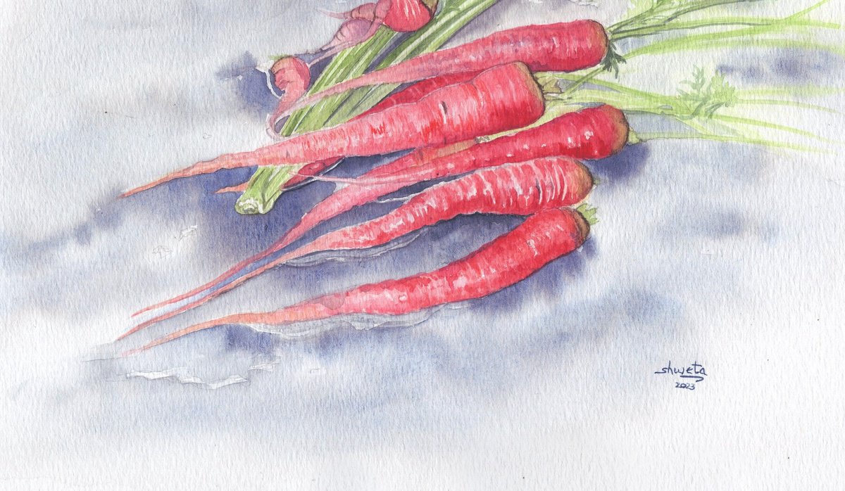 Photorealistic Watercolour , Red Carrots By Shweta Mahajan, 12 X 8, Artwork For Sale On Artfinder