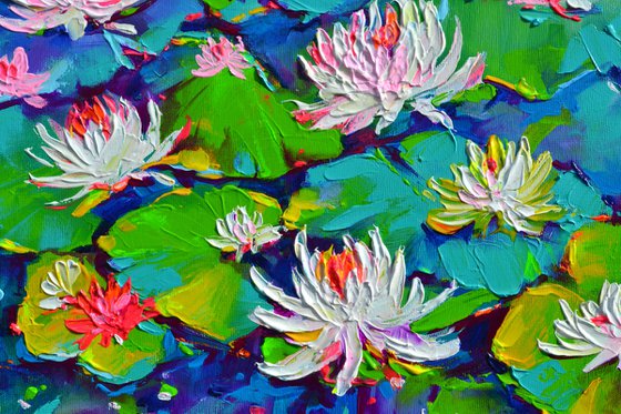 White Water Lilies on the Pond