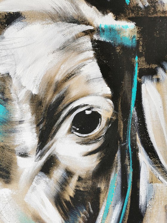 TAURUS #8 – Close up portrait of a bull