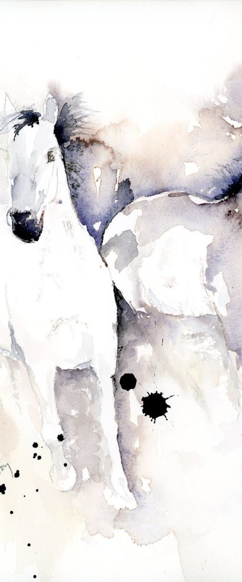 Two Horses by Alex Tolstoy