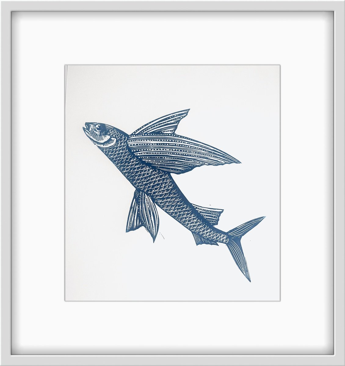 Flying Fish by Amy Cundall