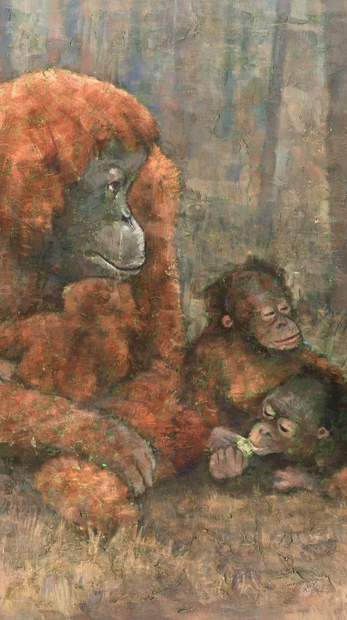 Sumatran Orangutans by Steve Mitchell