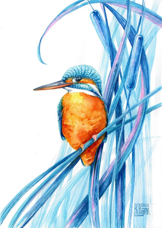 Kingfisher