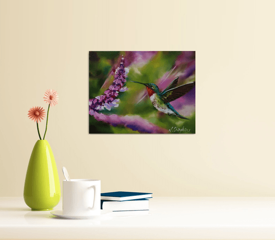 Ruby Throated Hummingbird, Bird and Purple flowers