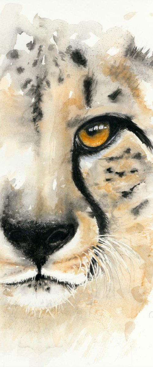 'Cheetah in the Mist' by Nicola Colbran