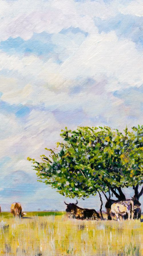 MINCHINHAMPTON SAVANNAH by Diana Aungier-Rose