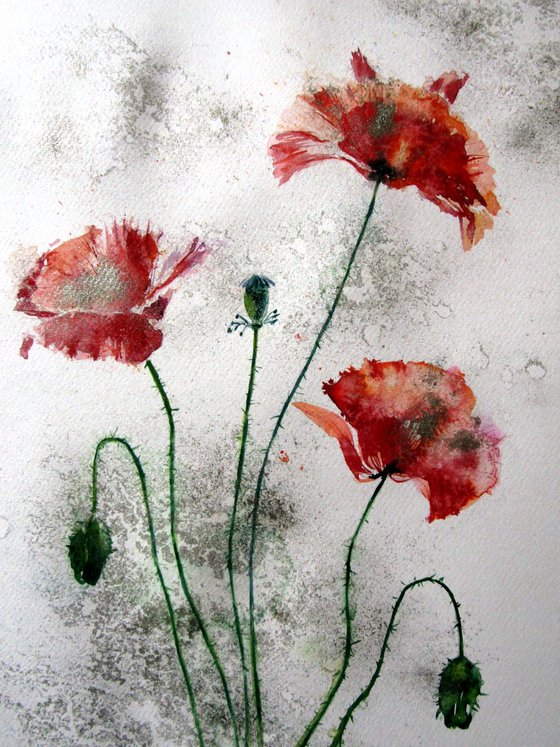 Poppies in silver