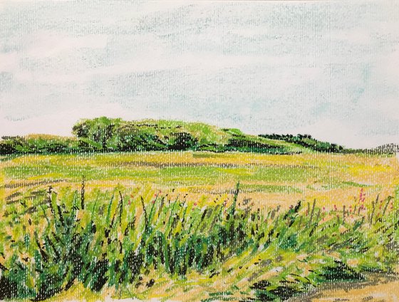Pastel Field