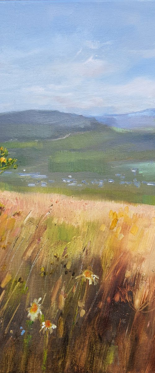 Field in the mountains by Olha Laptieva