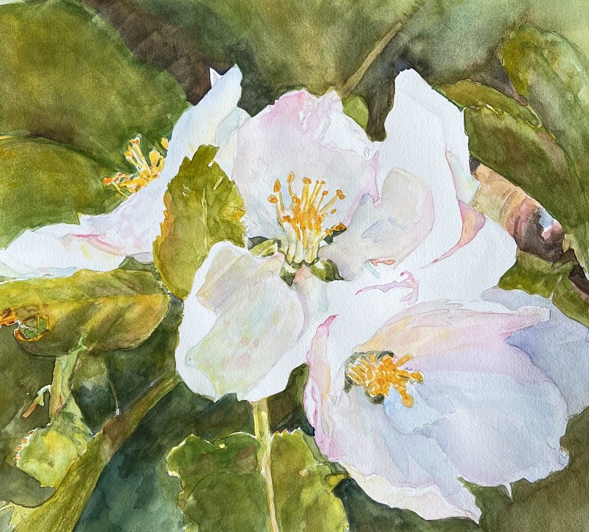 Impressionistic Botanical Watercolour By Bronwen Jones, 15 X 14, Monets Rose, Original Artwork