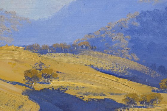 Hilly landscape near Mudgee