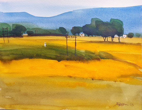 Indian yellow, summer light 1
