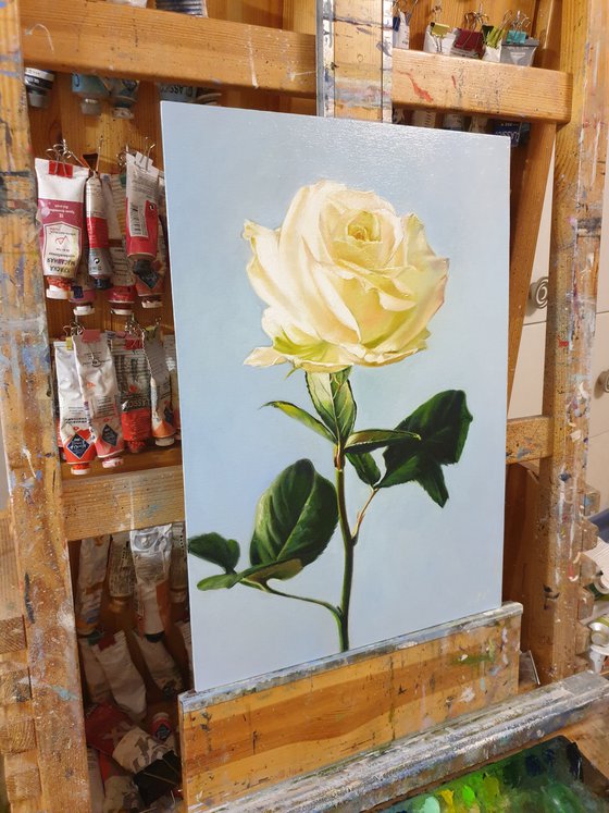 "Sounds of tenderness."  rose flower  liGHt original painting  GIFT (2021)