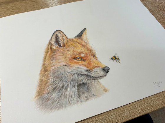 The fox and the bee