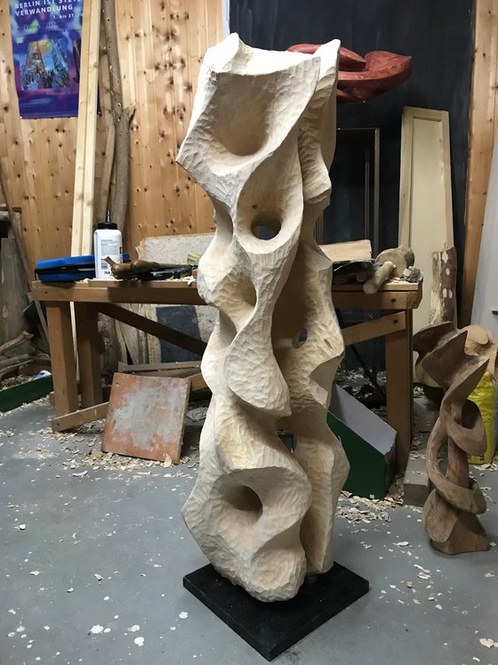 Betula
