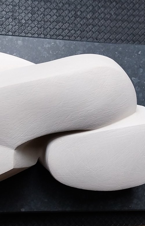 Bird feeding her young. by Sol Michiels