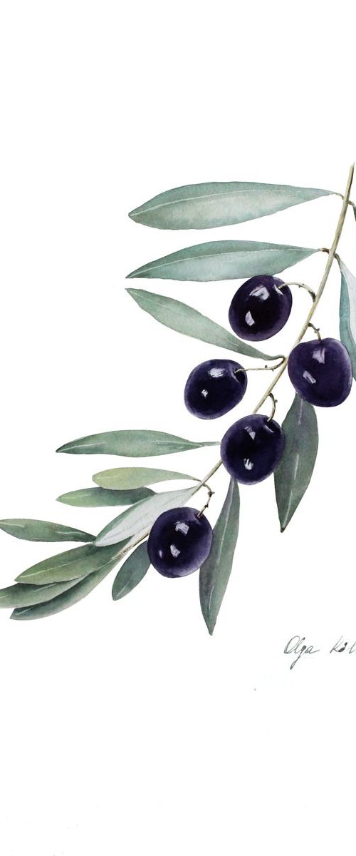 Black Olives by Olga Koelsch
