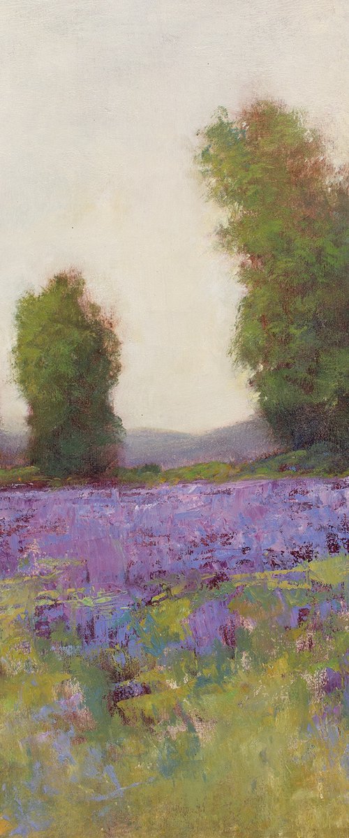 Summer Lavender Field 231007 by Don Bishop