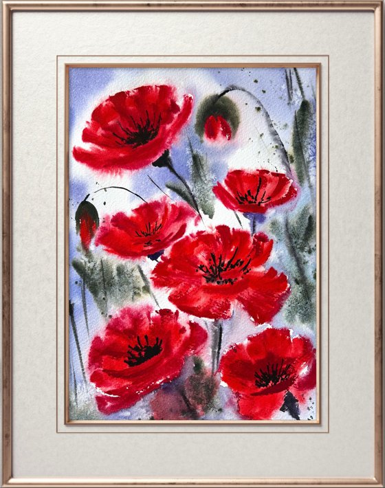 Red Poppies in the field
