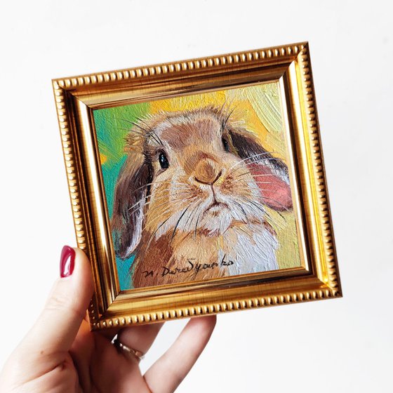 Rabbit portrait