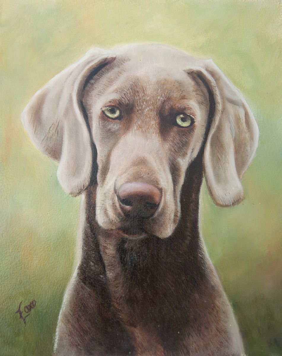 Weimaraner Oil painting by Norma Beatriz Zaro | Artfinder