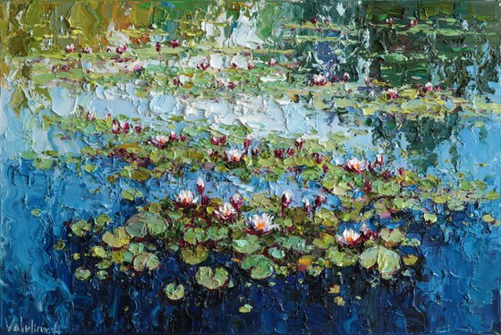 Water Lilies