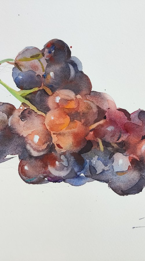 Grapes 5 by Jing Chen