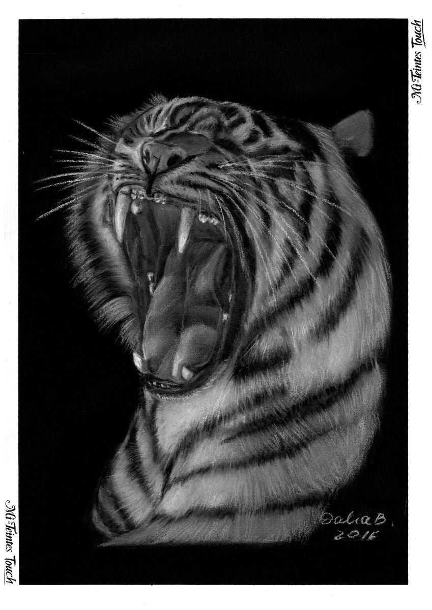 Tiger by Dalia Binkiene