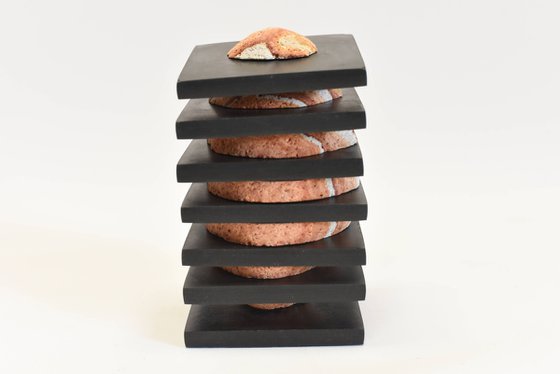 LITTLE HIDDEN BEAUTY