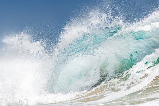 OCEAN PULSE