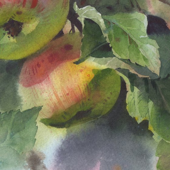 APPLES ON A BRANCH - still life watercolor painting on watercolour paper original decor for interior kitchen and dining room.