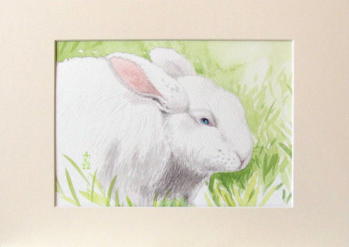 Bunny 1 by Jolanta Czarnecka