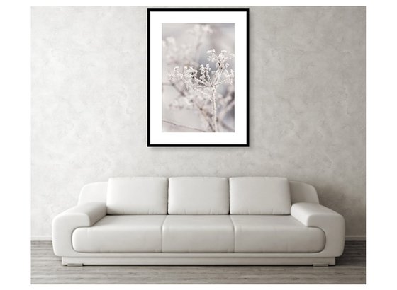 Winter fragility - Limited Edition of 20