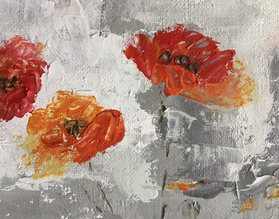 Poppies for Peace #2