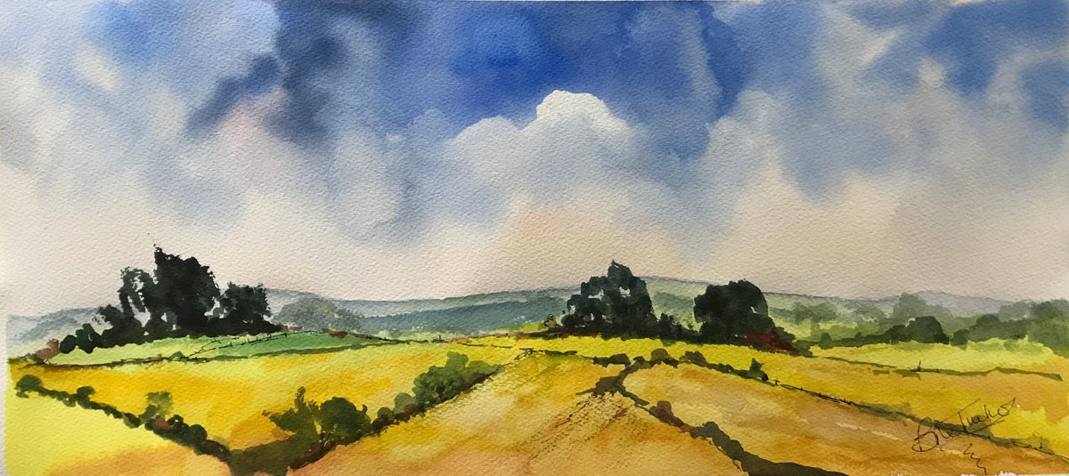 Impressionistic Landscape Watercolour By Brian Tucker, 21 X 9, Warm Summer Day At The North Downs, Original Artwork