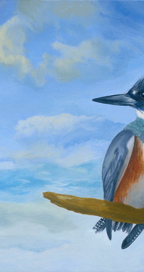 Her Majesty (Female Kingfisher) by John Harne