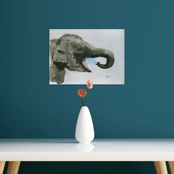 Baby Elephant V